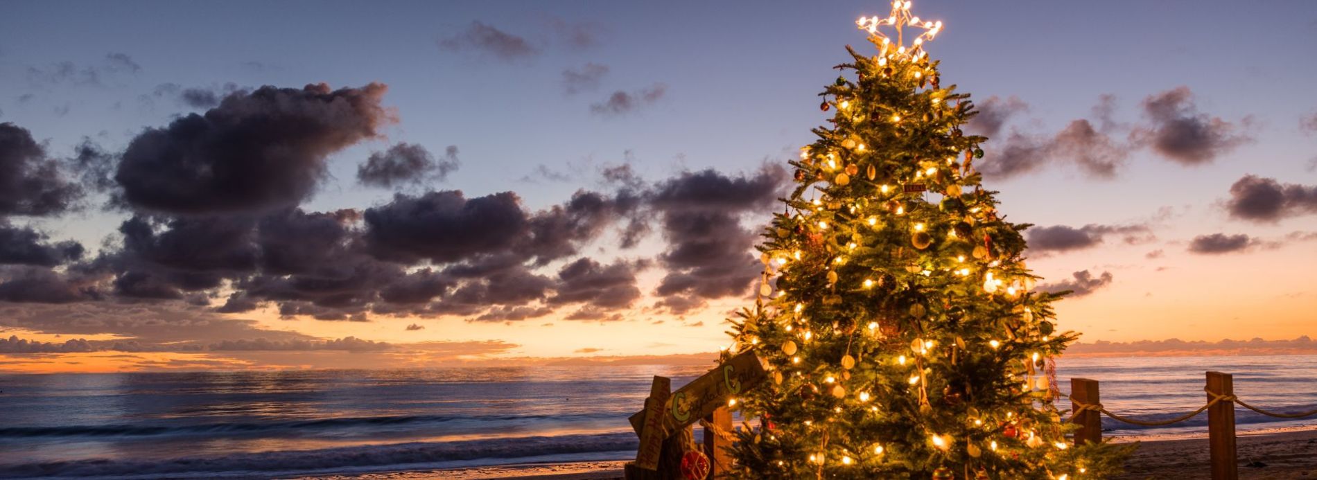 Experience These Holiday Events Near St George Island, FL Feature Image