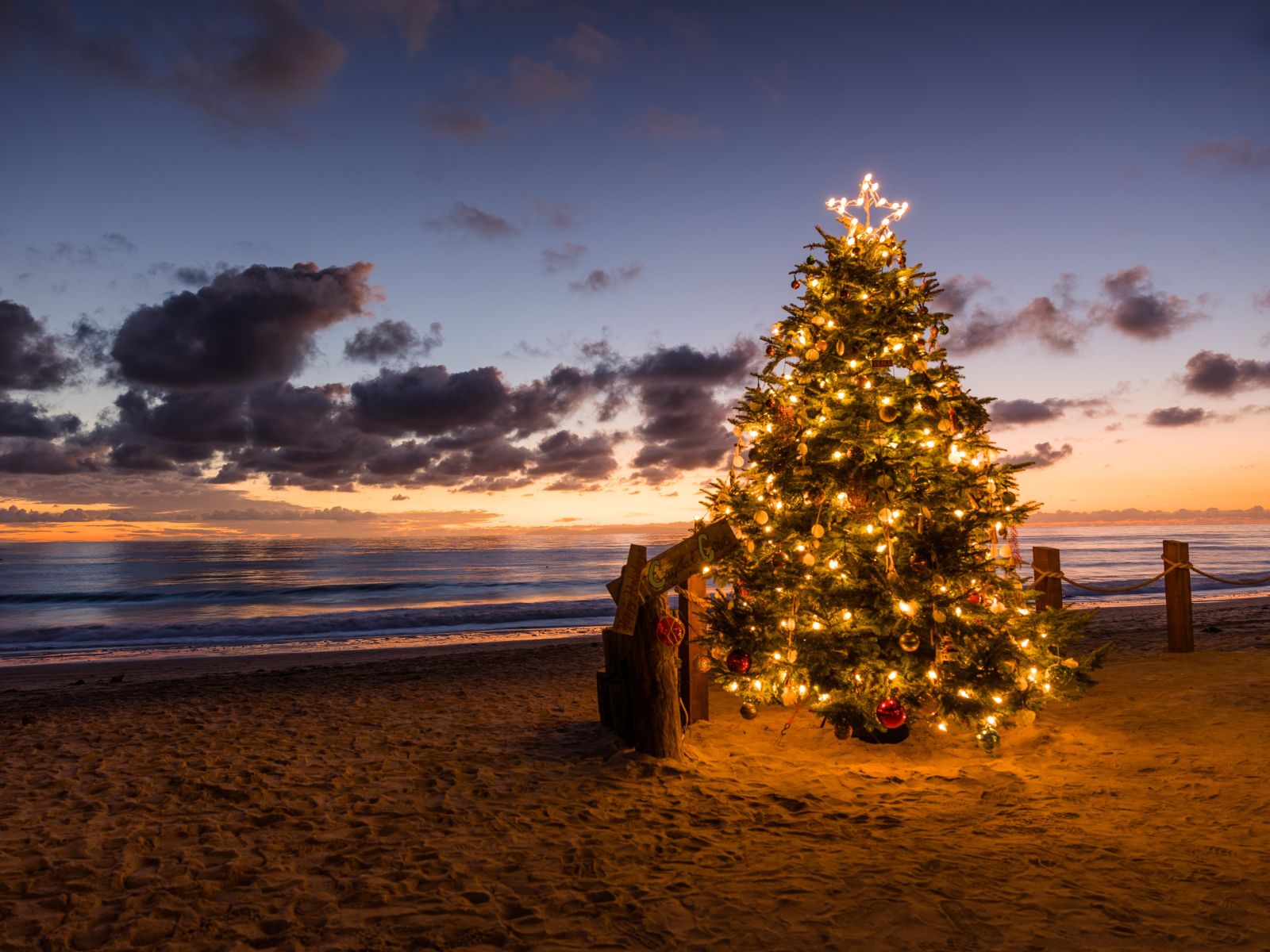 Christmas tree on beach at sunset